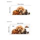 thumbnail image 4 of Adhesivos de pared autoadhesivos de PVC con diseño de lindo cachorro, 30 x 60 cm, 4 of 4