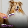 thumbnail image 5 of Poodle Pet Stainless Steel Bristle Brush, Pet Grooming Brush for Dogs & Cats, 5 of 8