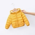 thumbnail image 2 of Lindreshi Toddler Boys Clothes Clearance Boys Winter Coat Winter Child Kids Color Hoodie Zipper Keep Warm Jacket Clothes, 2 of 3