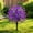 Purple, variant on Nsxcdh Artificial Flowers Waterproof Artificial Flowers for Outdoors Faux Garden Plants for Porch Patio Yard Home Decor Summer Spring Lifelike UV Resistant Container Garden Art