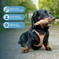 thumbnail image 3 of Voyager Step-In Plush Dog Harness – Soft Plush, Step In Vest Harness for Small and Medium Dogs by Best Pet Supplies - Harness (Beige Plush), L (Chest: 18 - 20.5"), 3 of 7
