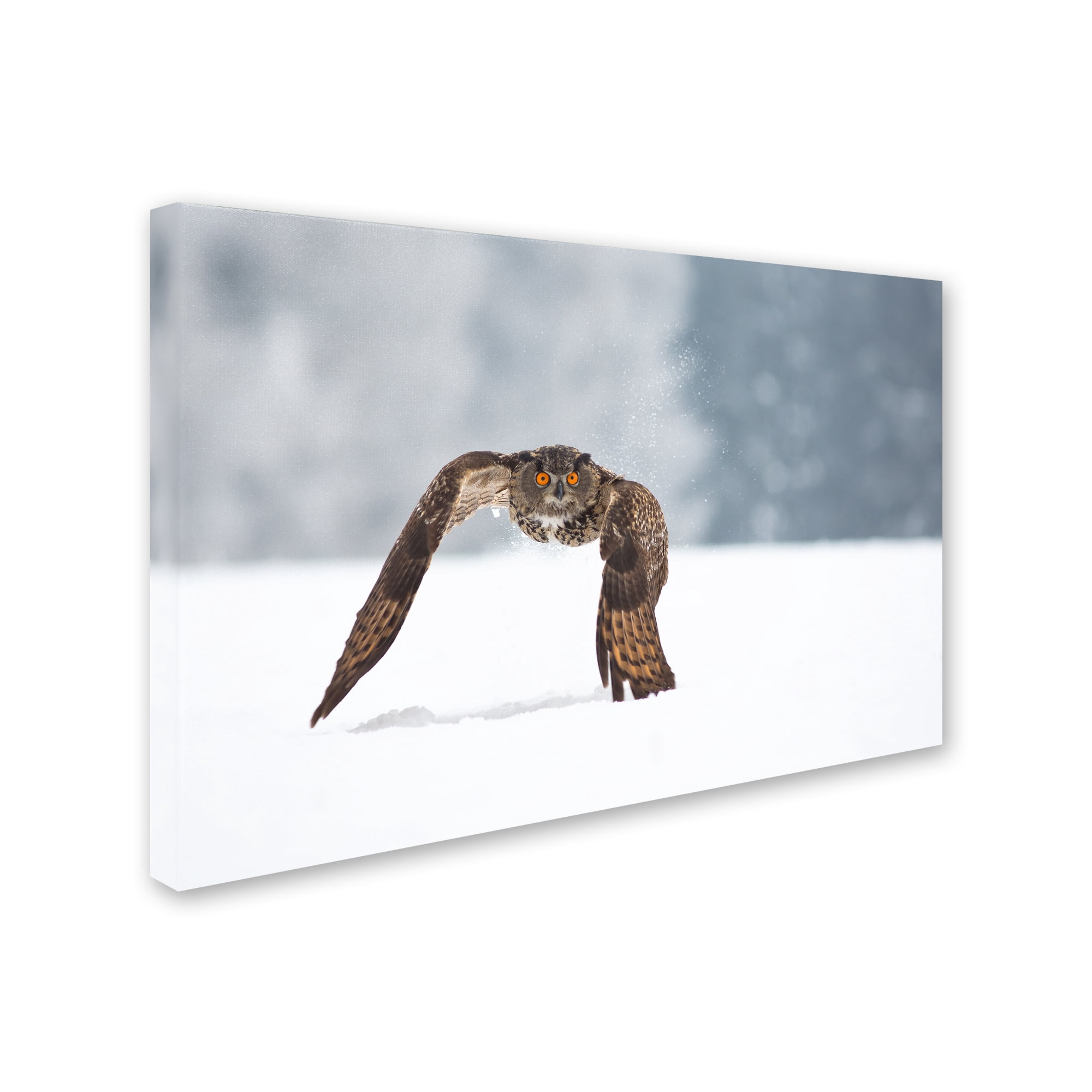 Trademark Fine Art 'Eurasian Eagle Owl' Canvas Art by Milan Zygmunt