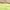 Lime Green & Taupe, variant on Dayton Twin Size 2-Piece Reversible Comforter Set Soft Brushed Microfiber Quilted Bed Cover Gray & Navy