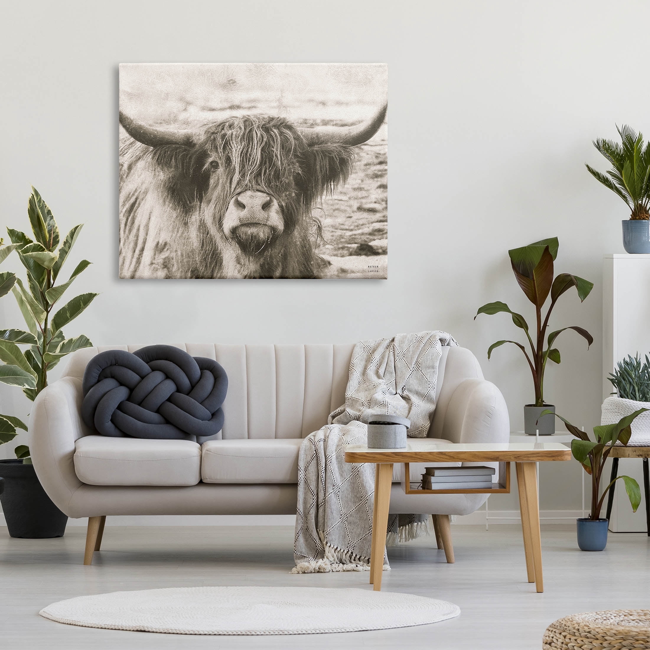 Stupell Industries Highland Cattle Cow Gazing Photography Photograph Gallery Wrapped Canvas Print Wall Art, Design by Nathan Larson