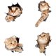 thumbnail image 1 of 4 Uds pegatinas de coche autoadhesivas 3D dibujos animados gato ventana parachoques pegatinas decorativas pegatinas de coche dormitorio cuatro modelos TUNC Sencillez, 1 of 5