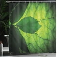 thumbnail image 4 of Ambesonne Green Shower Curtain, Brazilian Tree Leaf Eco, 69"Wx84"L, Olive and Dark Green, 4 of 5