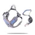 thumbnail image 1 of Arnés antitirones para perros, chaleco reflectante, correa y collar para perros pequeños, para terrier, schnauzer, mascotas, gatos, suministros de entrenamiento para caminar, chihuahua, 1 of 6