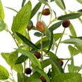 thumbnail image 4 of Northlight Artificial Olive Plant in Rustic Pot with Handles - 14", 4 of 7