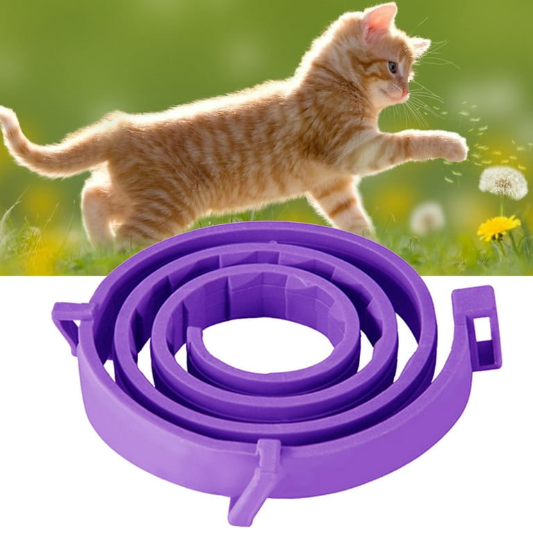 Joeor flea collar hot sale