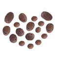 thumbnail image 4 of Clay Pebbles for Hydroponic Growing, 100g 4mm -15mm Light Organic Clay Balls for Plants Aquaponics and Hydroponics Growing, 4 of 7