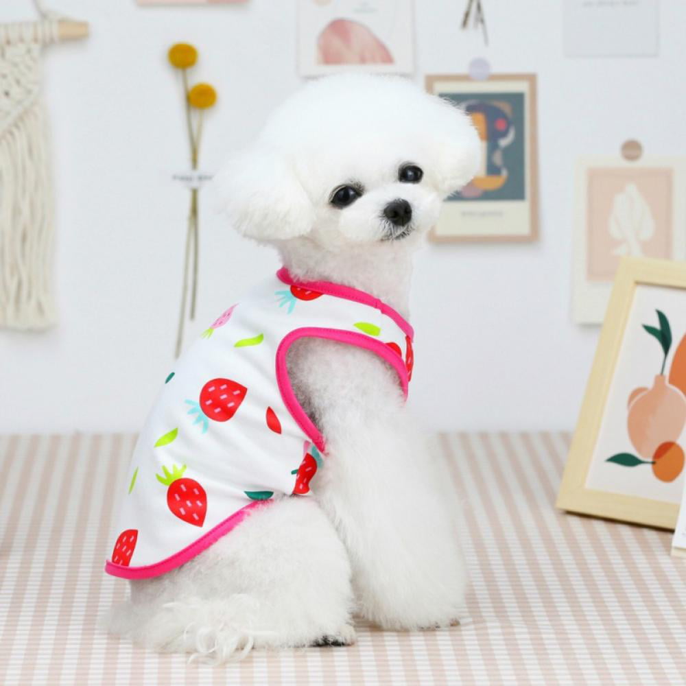 4 Pieces Printed Dog T-Shirt for Small Dog Girl Boy Puppy Pullover Dog Sweatshirt Summer Clothes Breathable Dog Outfits Fruit Pattern S//M//L