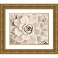 thumbnail image 1 of Sophie 6 14x12 Gold Ornate Wood Framed with Double Matting Museum Art Print Titled - Cactus Cream II, 1 of 4