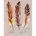 thumbnail image 3 of Gorham, Gregory 15x18 Black Modern Framed Museum Art Print Titled - Feathers Fig 1, 3 of 5