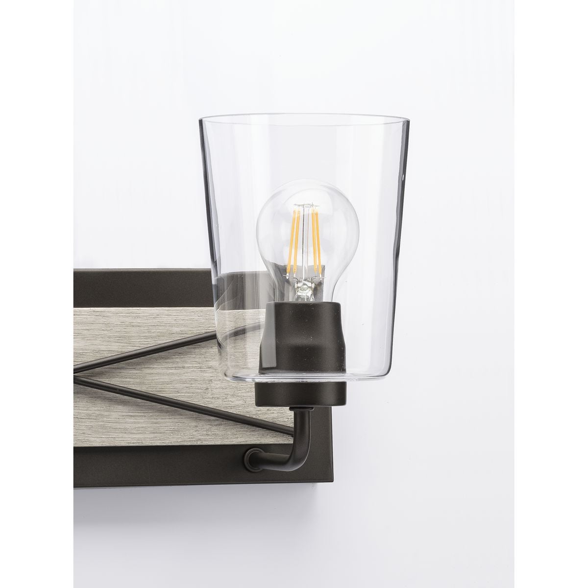 Progress Lighting Briarwood 4-Light Bath Vanity in Graphite with Clear Glass Shades