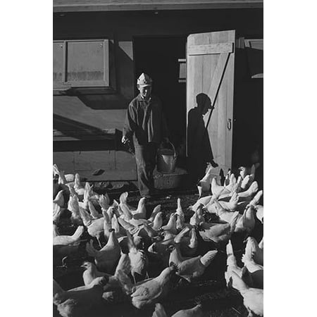 Mori Nakashima full-length portrait standing facing front scattering chicken feed from a pail in front of a chicken coop  Ansel Easton Adams was an American photographer best known for his