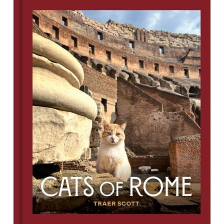 Cats of Rome, (Hardcover)