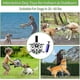thumbnail image 5 of Balón de fútbol interactivo del juguete del perro con las etiquetas durables del perro del gancho agarrador para las razas medianas pequeñas, 5 of 5