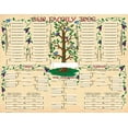 thumbnail image 1 of Affiche de Tableau d'Arbre Généalogique (Lot de 2), 1 of 3