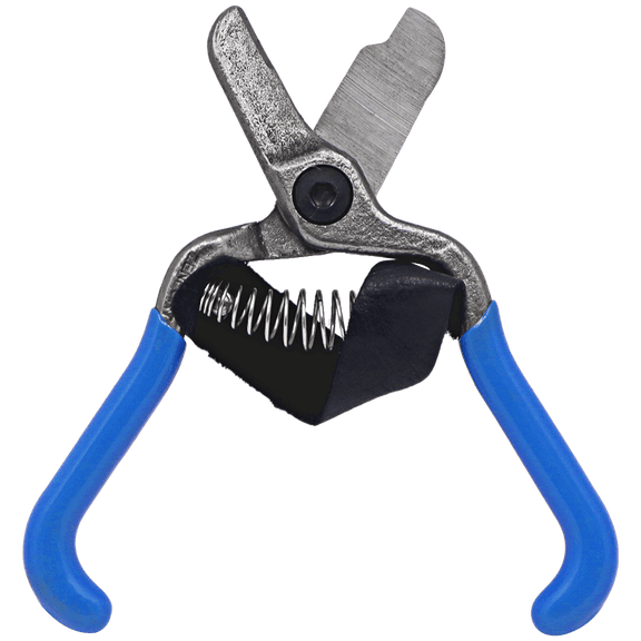 Zenport H322 Fruit Shears with Strap, Lemon Citrus Clipper, 5.5-Inch, Blue