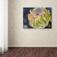 thumbnail image 3 of Trademark Fine Art "Cactus Fruit" Canvas Art by Jennifer Redstreake, 3 of 3