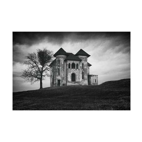Canvas Wall Art - Catalin Alexandru 'Rosianu Mansion' Wall Art for Living Room, Bedroom, or Office Décor by Trademark Fine Art - 19 x 12 Inches