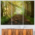 thumbnail image 1 of Suns Coups d'Il dans la Forêt, 1 of 1