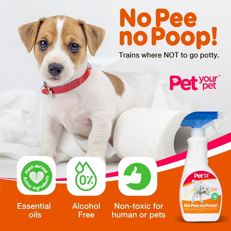 Dog Potty Training Spray Dog Is Pooping And Peeing In The House