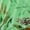 Green, variant on Blouses for women dressy casual Polyester,Spandex Soft Clothing M Black womens blouses