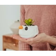 thumbnail image 5 of Disney The Nightmare Before Christmas Zero Planter With Artificial Succulent, 5 of 8