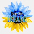 thumbnail image 3 of CafePress - Pray For Ukraine Blue And Yellow Sunflower Sweatsh - Kids Hooded Sweatshirt, Classic Hoodie, 3 of 4