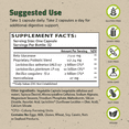thumbnail image 4 of Master Supplements TruFlora - 32 Capsules, 32 Servings, 4 of 6