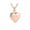 Rose Gold, variant on Cremation Jewelry For Pet Steel Memorial Necklace With Sealing Ashes Container And Heart Shape Keepsakes Urns