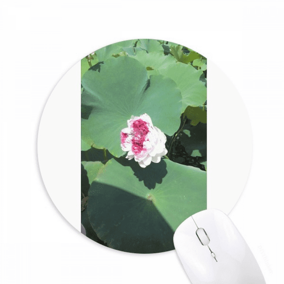 Little Lotus Summer Sunshine Mouse Pad Comfortable Game Office Mat