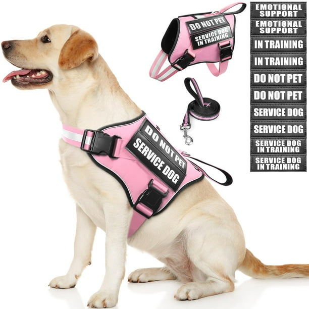 Conjunto de chaleco, arnés y correa para perros de servicio MOOGROU, color rosa, talla L