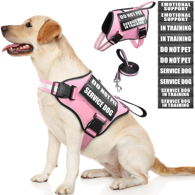 Conjunto de chaleco, arnés y correa para perros de servicio MOOGROU, color rosa, talla M