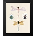 thumbnail image 2 of Warren, Annie 12x14 Black Modern Framed Museum Art Print Titled - Insect Varieties I, 2 of 5