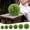 Style A, variant on Lifelike Artificial Boxwood Grass for Home Decoration, Realistic Milan Grass for Wedding Party Decor, Maintenance Faux Evergreens for Office Entryway