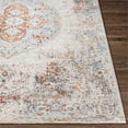 thumbnail image 5 of Surya Laila LAA-2307 31x87" Runner Traditional Fabric Rug in Light Gray/Teal, 5 of 6