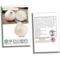 thumbnail image 3 of White Sweet Spanish Onion Seeds, 500 Heirloom Seeds Per Packet, Non GMO Seeds, 3 of 6