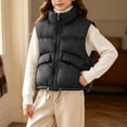 thumbnail image 2 of ROHUUQUE Girls Boys Stand Collar Quilted Puffer Vest Zip Up Sleeveless Adjustable Hem Unisex Jacket for School Casual Wear 3-13 Years Black, 2 of 9