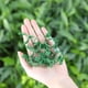 thumbnail image 4 of Big sale Plant Support Clips,Plant Clips For Climbing Plants Tomato Garden Vine Clips For Supporting Vegetables Plants Stalks,Vines,Climbing Plant Tomato Clips, 4 of 4