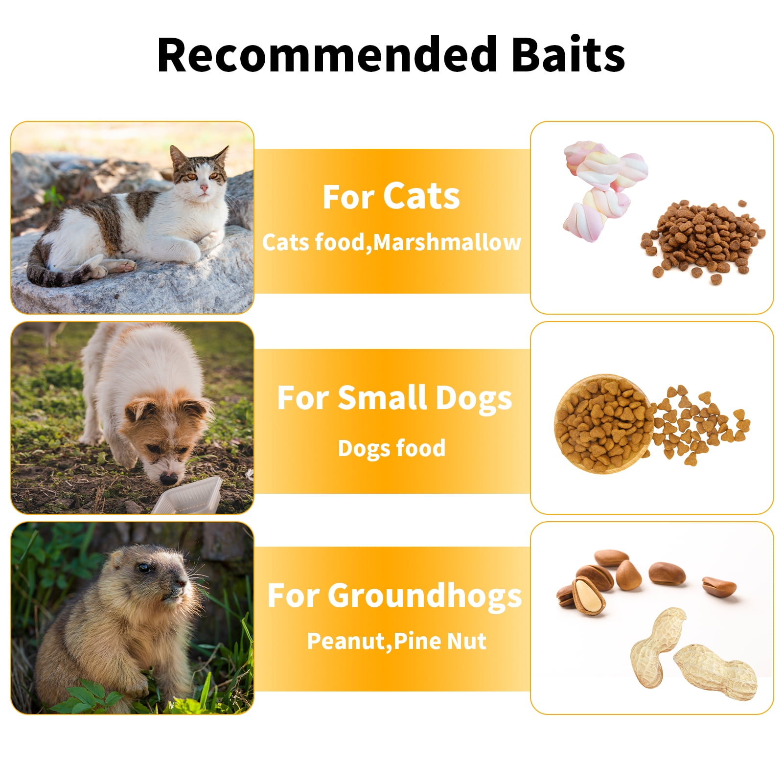 40" 2-Door Large  Live Animal Traps for Stray Cats up to 17.6 Pounds, Raccoons, Squirrel