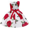 thumbnail image 3 of GHSDFBB Robe Fille pour Anniversaire Mariage Fête Occasion Spéciale Sequins Tulle Robe Princesse 3-10 Ans, 3 of 6