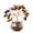 Brown, variant on ZFSBZBS Healing Crystals Rose Quartz Crystal Tree with Glass Base Handmade Natural Gemstone Life Tree Mini Bonsai Money Trees Good Luck Home Office Desk Decor,Pink