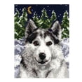 thumbnail image 1 of simhoa Tapis à Crochets Ensembles de Couture DIY Fil à Crocheter Non Fini Tapis Crochet à Crochets Loup, 1 of 8