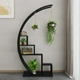 thumbnail image 2 of 5 Tier Metal Metal Plant Stand with 6 Hooks Half Moon Shape Ladder Flower Pot Stand Rack for Home Patio Lawn Garden Balcony Holder Black 2 Pack, 2 of 8