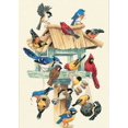 thumbnail image 1 of Dimensiones Dimensions 13683, 1 of 1