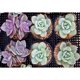 thumbnail image 1 of Taladro Pintura Diamante (DB5076) 5D Imagen de arte Plantas suculentas DIY Kit redondo completo 20X30cm FLhrweasw Nuevo, 1 of 1