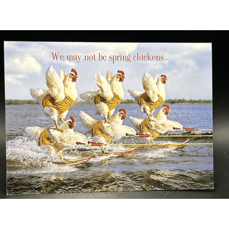 Birthday Greeting Card w/Envelope NEW