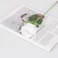 thumbnail image 1 of Flannel Roses, Silk Flowers, Fake Flowers, 1 of 1